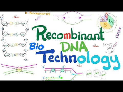 Recombinant DNA technology - Biotechnology - Molecular Biology 🧬 - Biochemistry & Genetics