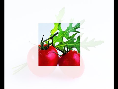 Scribus 1.4.5 - transparency and PDF/X-3