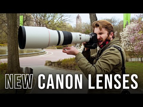 Canon RF 100mm f/2.8 L Macro IS USM Lens video