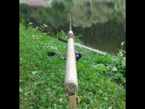 Einfach mal    Feedern    Feederangeln auf Weißfische   Angeln mit dem Futterko