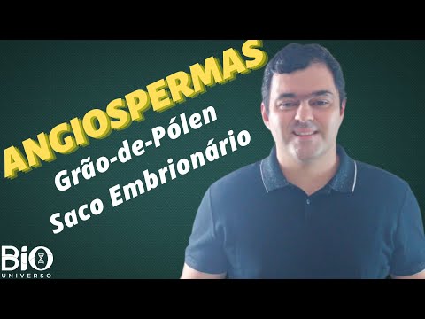 BOTÂNICA - ANGIOSPERMAS (Grão-de-Pólen e Saco Embrionário) - ENEM e Vestibulares
