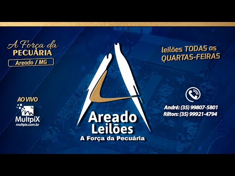 📌MEGA LEILÃO - AREADO LEILOES - Areado/MG - 🎥multpix.com.br