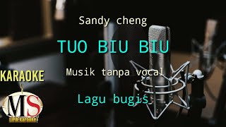 Download lagu LAGU BUGIS - TUO BIU BIU KARAOKE SANDY CHENG#lagubugis mp3 Download lagu LAGU BUGIS - TUO BIU BIU KARAOKE SANDY CHENG#lagubugis mp3