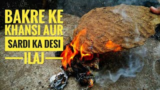 Desi ilaj for Goat Coughing and Runny Nose | Apna Goat Farms