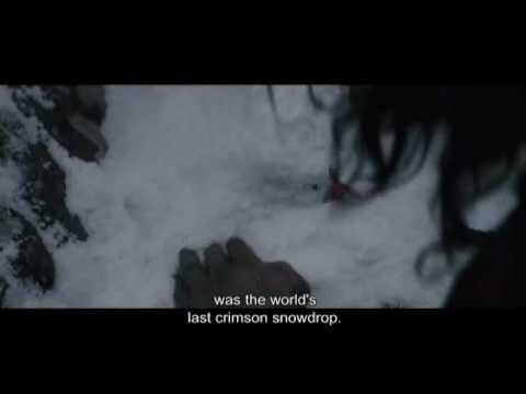 SEACHD - In search of the Scarlet Primrose