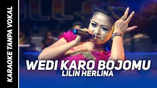 Download lagu Wedi Karo Bojomu - Lilin Herlina || Karaoke Dangdut Koplo mp3 Download lagu Wedi Karo Bojomu - Lilin Herlina || Karaoke Dangdut Koplo mp3
