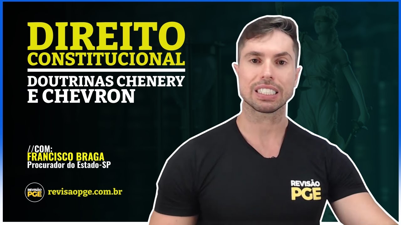 Controle judicial das políticas públicas | DIREITO CONSTITUCIONAL