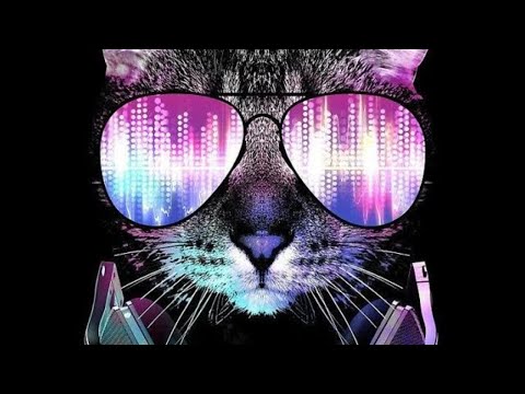 🌴LEE FOSS , JOHN SUMMIT, HAYLEY MAY - SUMMERTIME CHI (REMIX)