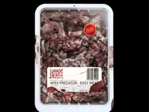 download lagu mp3 mp4 Napalm Death Hierarchies, download lagu Napalm Death Hierarchies gratis, unduh video klip Napalm Death Hierarchies
