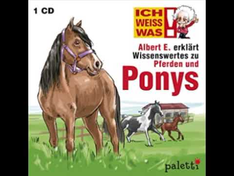 Albert E. erklärt wissenswertes zu Pferden und Ponys