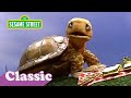 Shelley The Turtle S I Get There Song Sesame Street Classic