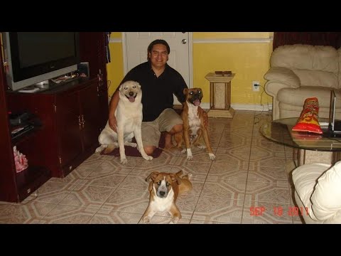 "ADIOS AMIGA" en memoria de mi monita cachorra boxer familia