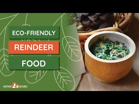 Eco-friendly Reindeer Food that your Kids will Love Making!