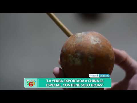 HECTOR DINGLER   LA COOPERATIVA 2 DE MAYO DE MISIONES LOGRÓ SU PRIMER ENVÍO DE YERBA MATE A CH