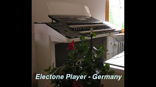 Central Park (Chick Corea) performed on Electone by Electone Player