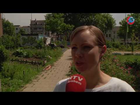 RTV Arnhem Nieuws 10 juni 2016