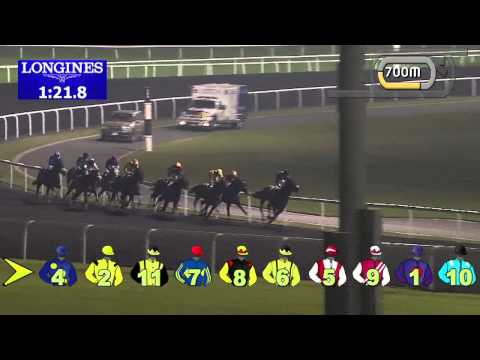 05.12.2013 Meydan (Dubai-UAE) 6.Race Expo 2020 82 / 100 - Handicap 1.900 m