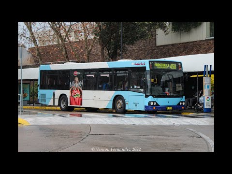 [MUSICAL ZF] Punchbowl Bus Co. m/o 4518 (Custom Coaches CB60 - Scania L113CRL)
