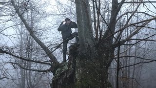 Vasco Brondi - CHITARRA NERA (con Elio Germano, regia di Daniele Vicari)