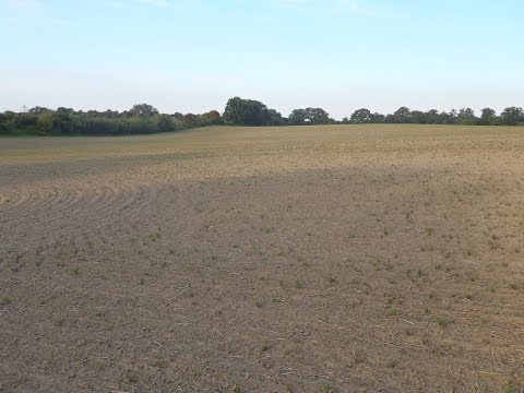 127. Feldexkursion: Stoppelbearbeitung - NU Agrar GmbH, 17.07.2019