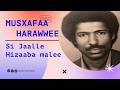 New Oromo Music 2026 Musxafaa Harawwee Si Jaalle Hizaaba Malee AI Cover Oromomusic