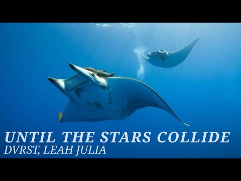 DVRST, LEAH JULIA - UNTIL THE STARS COLLIDE // SUB ESPAÑOL