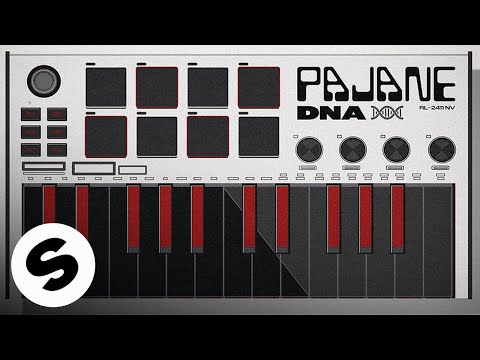 PAJANE - DNA (Official Audio)