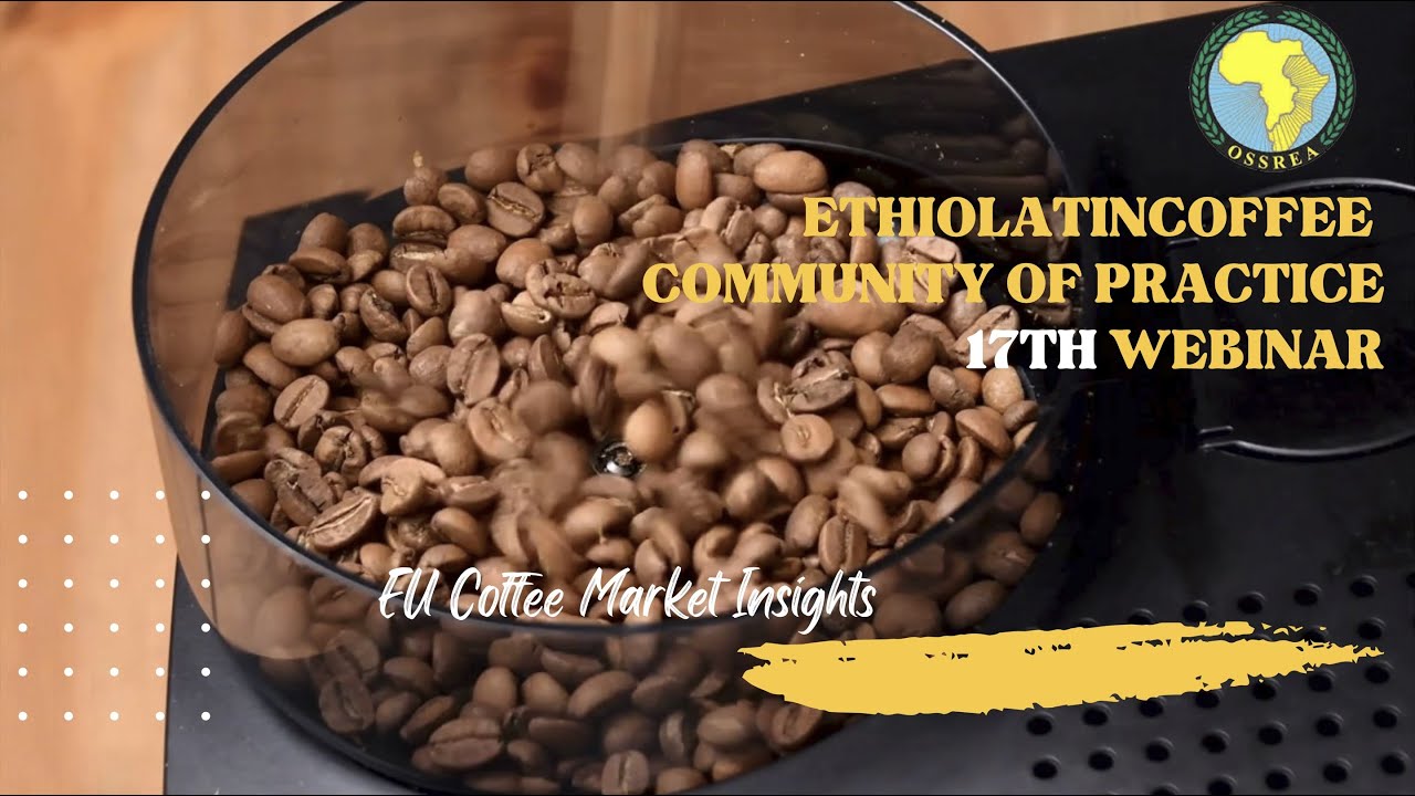 EU Coffee Market Insights --- English Version