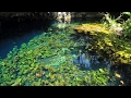 channel