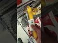 Plastic Banana Dildo