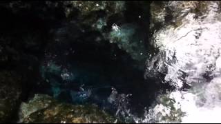 Hamurana Springs, Rotorua, New Zealand