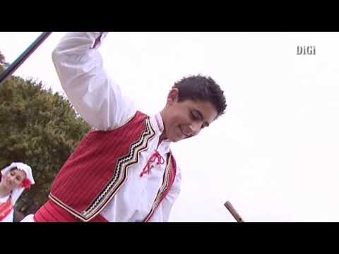 Gorgi stojceski- Tapavsko za ramo