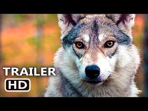 A REINDEER'S JOURNEY Trailer (2019) Animal Tale Documentary
