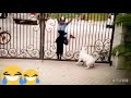 Thug Life Whatsapp Status Vadivelu Whatsapp Status 17Studio
