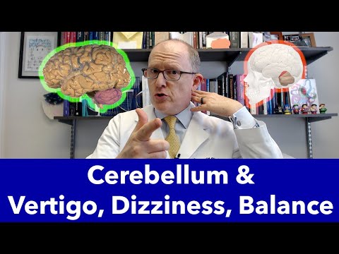 Cerebellum Malfunction Causes Vertigo, Dizziness, Balance Problems
