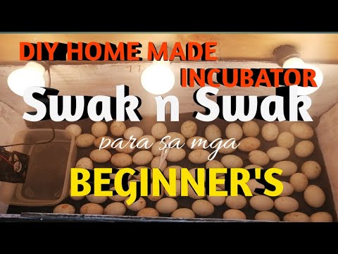 DIY homemade incubator for beginners