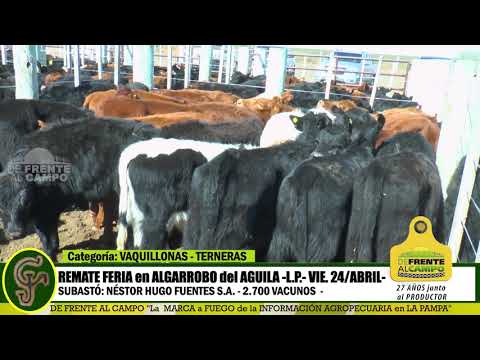 DE FRENTE AL CAMPO junto al SECTOR PRODUCTIVO - REMATE NHF S.A. -24/ABRIL -ALG. AGUILA - PARTE 2 -