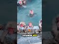 Monkeys Take Over Japanese Hot Springs For The Ultimate Spa Day ‍ ️ Shortsfeed Short Fyp