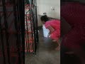 Shrots Bengali Bengalivlog Home Clean