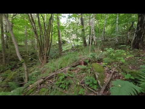 Alla ricerca di acque incontaminate nel territorio del Comune di Rubiana.