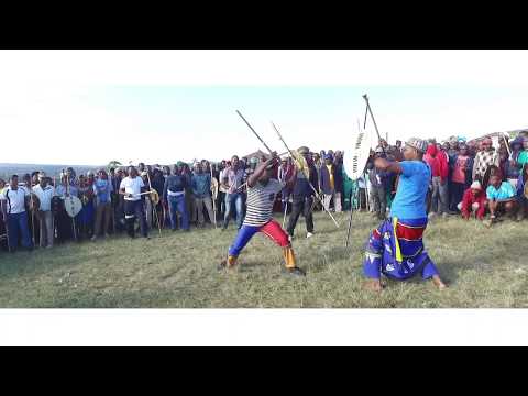 SANGOMA VS JUKEBOX