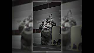 Download lagu PRESET XML DJ DKN PRIVATE FADE MILAN MIX 07 VIRAL TIKTOK (preset cek komen 👇) mp3 Download lagu PRESET XML DJ DKN PRIVATE FADE MILAN MIX 07 VIRAL TIKTOK (preset cek komen 👇) mp3