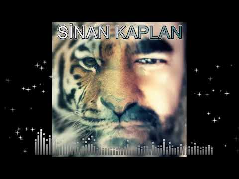 SİNAN KAPLAN -  KOCA DÜNYA