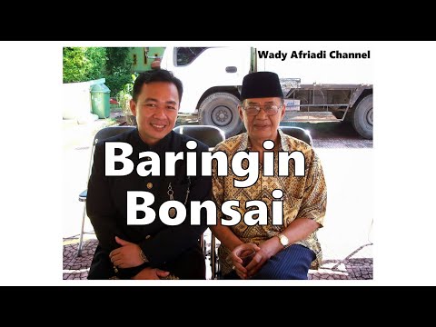 Baringin Bonsai - Nasib Pangulu di Minangkabau - Yus Dt. Parpatiah