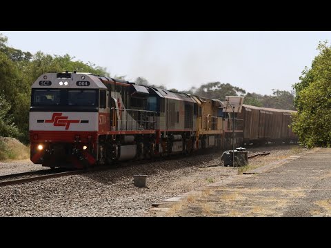 6MP9 With #SCT004 #CSR016 #ACD6058 & #SCT003 Thru Nairne