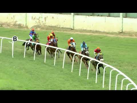 THRILL OF BRAZIL : THE GALILEE PLATE (102)