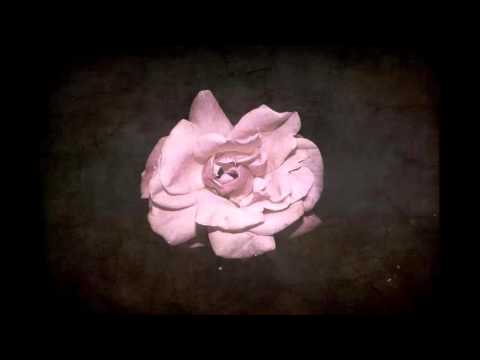 Jim Athanas - Κενοδοξία