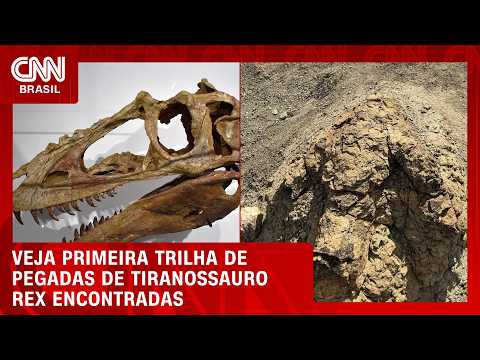 Pegadas de Tiranossauro Rex feitas há 66 milhões de anos são encontradas nos EUA | CNN BRASIL