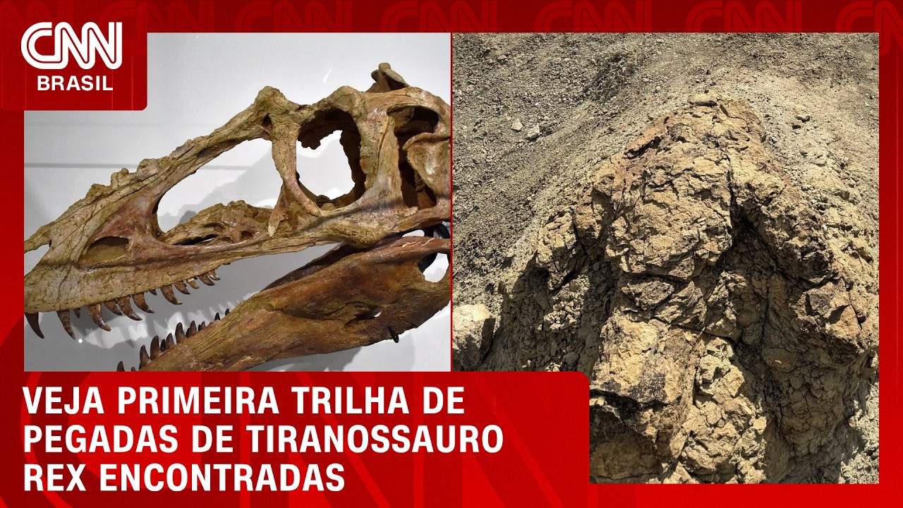 Pegadas de Tiranossauro Rex feitas há 66 milhões de anos são encontradas nos EUA | CNN BRASIL