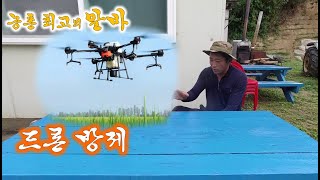 농촌 최고의 알바, 드론 방제 고수와의 인터뷰!//Interview with an agricultural d…